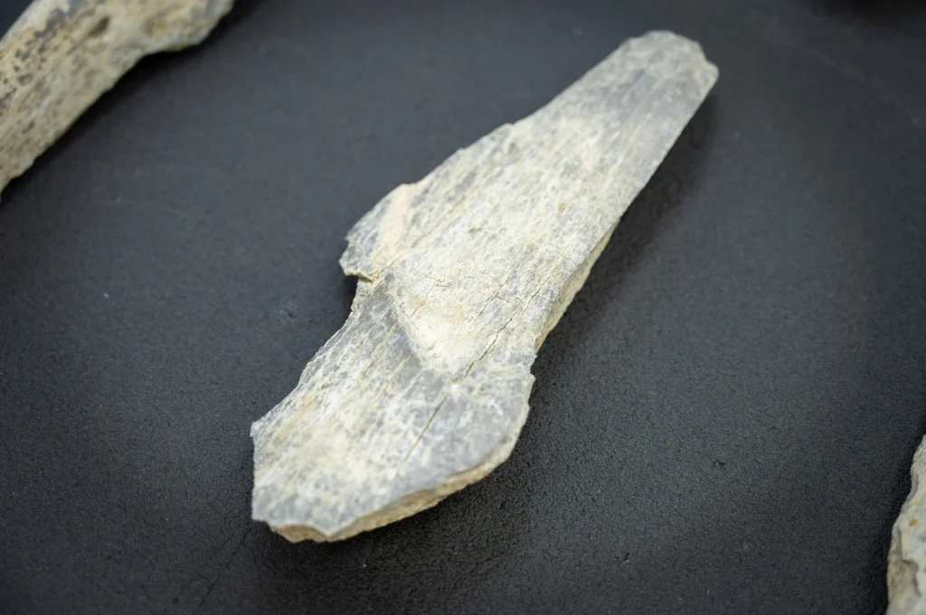 Who were the world's first toolmakers?