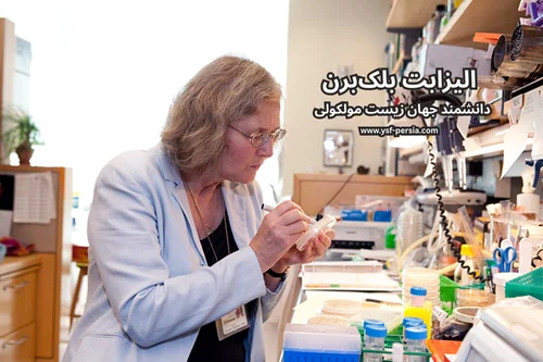 الیزابت بلکبرن؛ دانشمندی که نگاه جهان به پیری و سلامت را دگرگون کرد - معرفی در جشنواره اندیشمندان و دانشمندان جوان