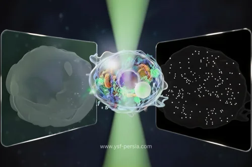 «میکروسکوپ یکپارچه بزرگ»: پنجره‌ای تازه به جهان میکرو و نانو