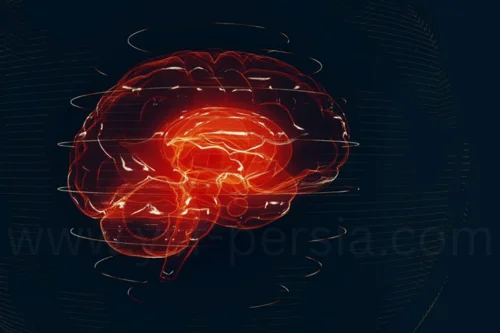 تشخیص سکته و خونریزی مغزی با هوش مصنوعی در جشنواره اندیشمندان و دانشمندان جوان