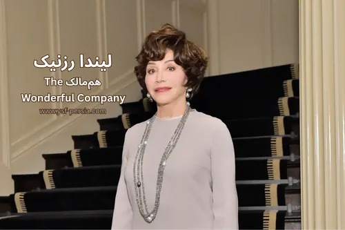 بیوگرافی لیندا رزنیک؛ داستان موفقیت و مسیر کارآفرینی او